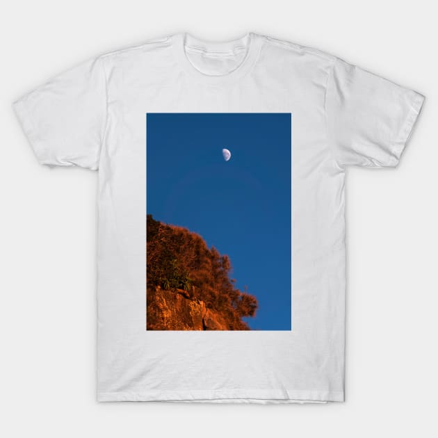 On The Rise T-Shirt by Geoff79